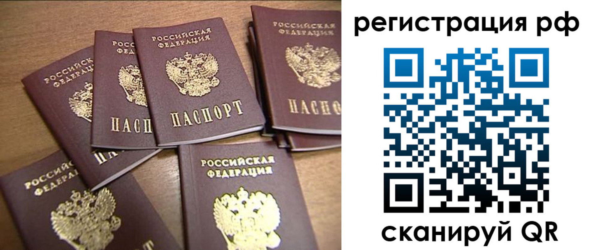 найти адрес прописки в Мурино